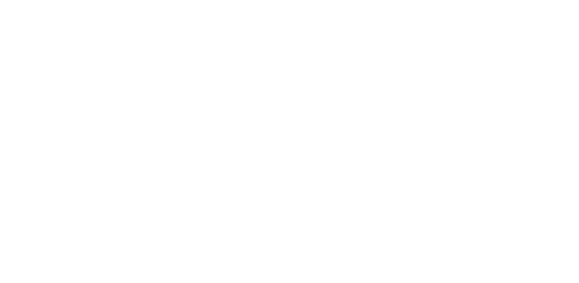 Narrow Path Logo